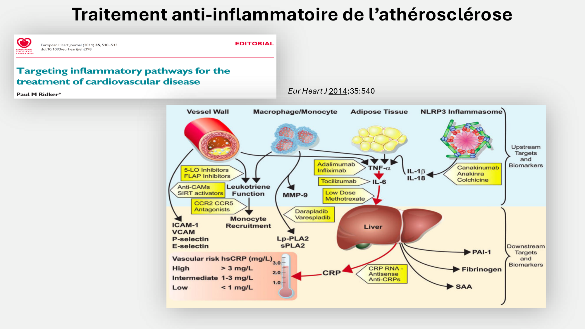 F-Mach-Cas de-liaison-Athero-6-29.1.2026.pdf page 34