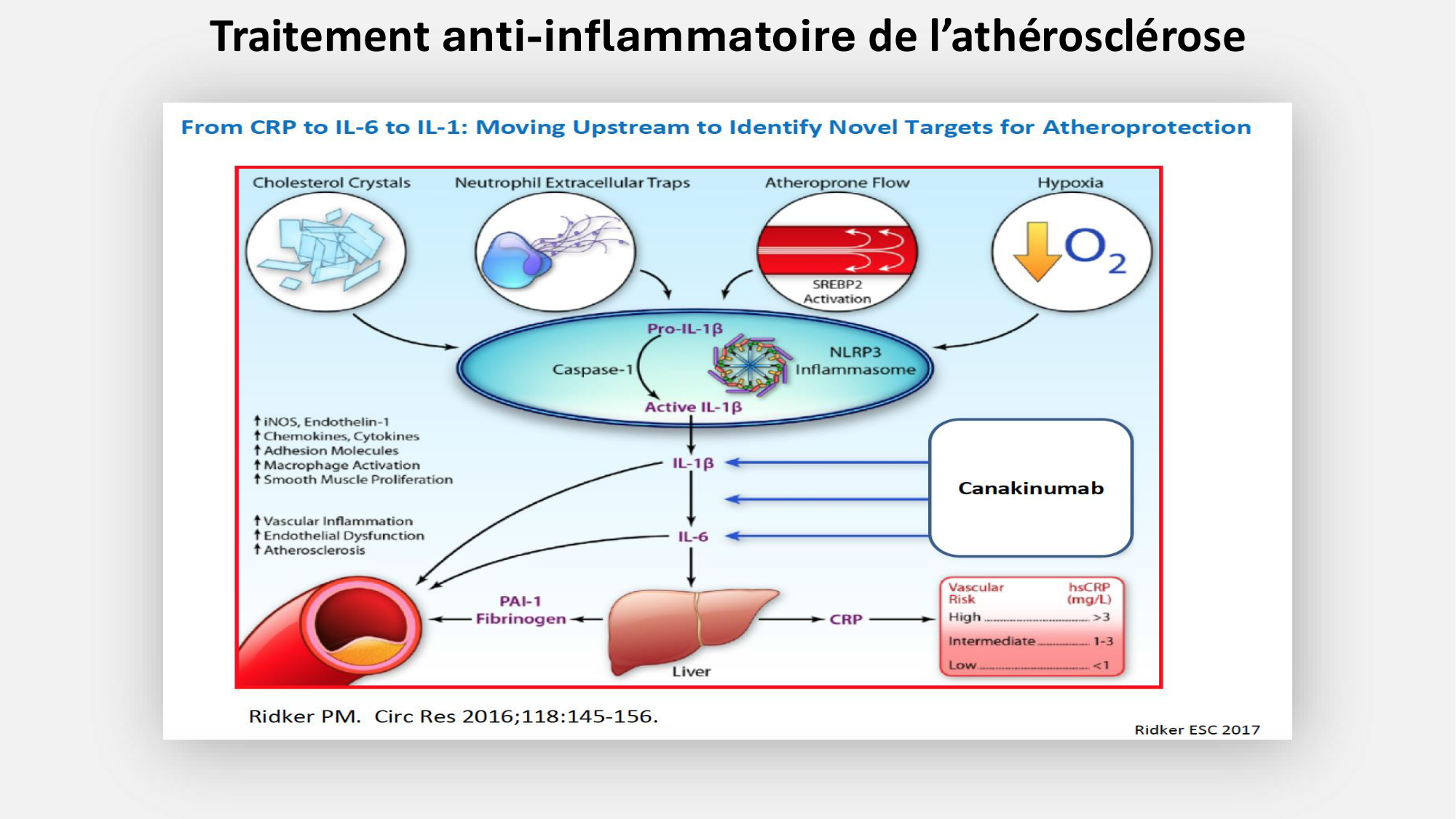 F-Mach-Cas de-liaison-Athero-6-29.1.2026.pdf page 35