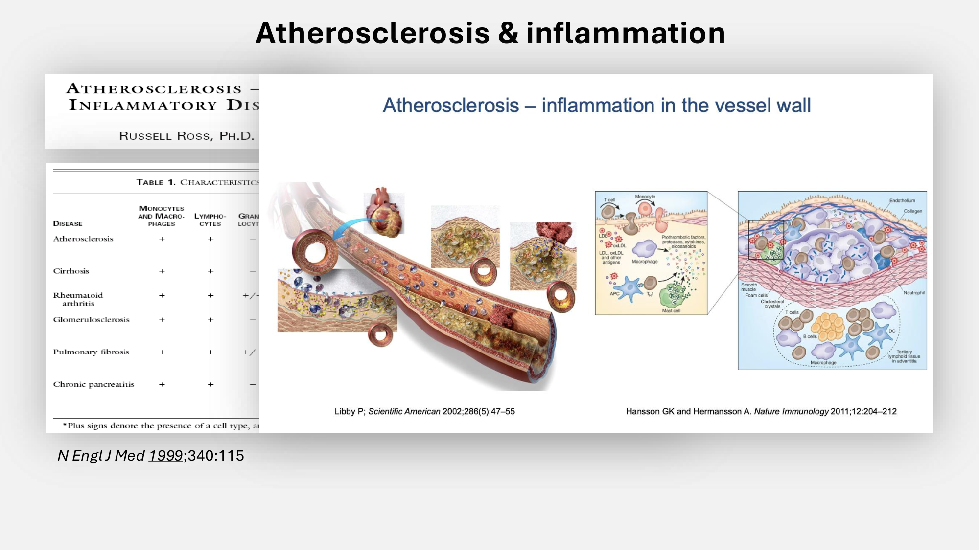 F-Mach-Cas de-liaison-Athero-6-29.1.2026.pdf page 48