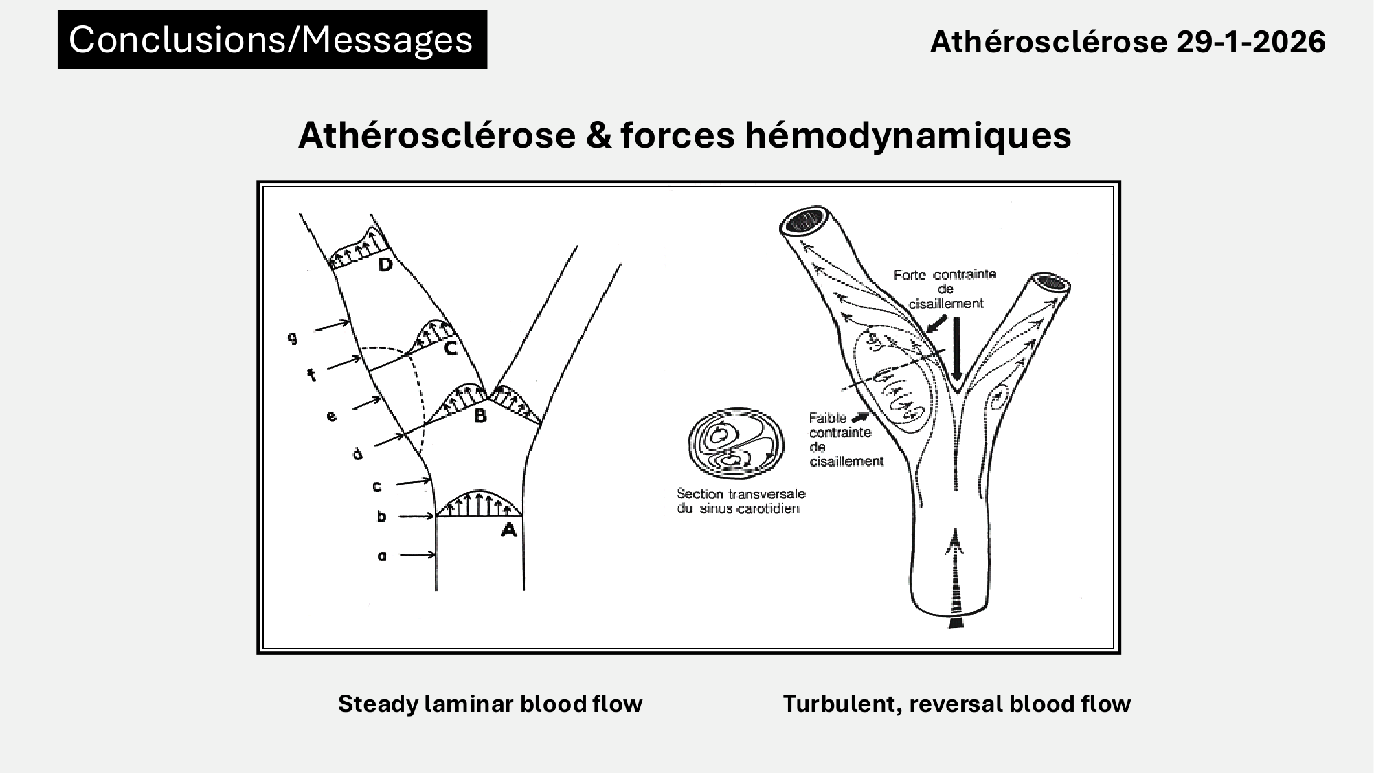 F-Mach-Cas de-liaison-Athero-6-29.1.2026.pdf page 51