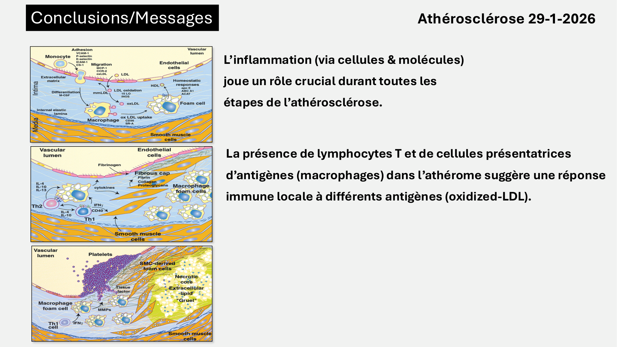 F-Mach-Cas de-liaison-Athero-6-29.1.2026.pdf page 53