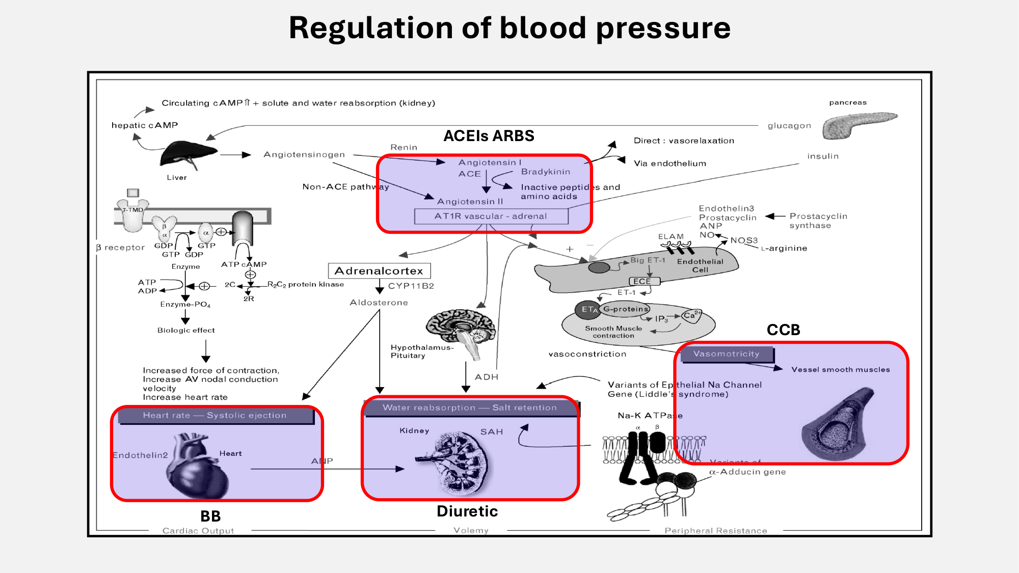 F-Mach-Cas de-liaison-Athero-7-5.3.2026 page 3