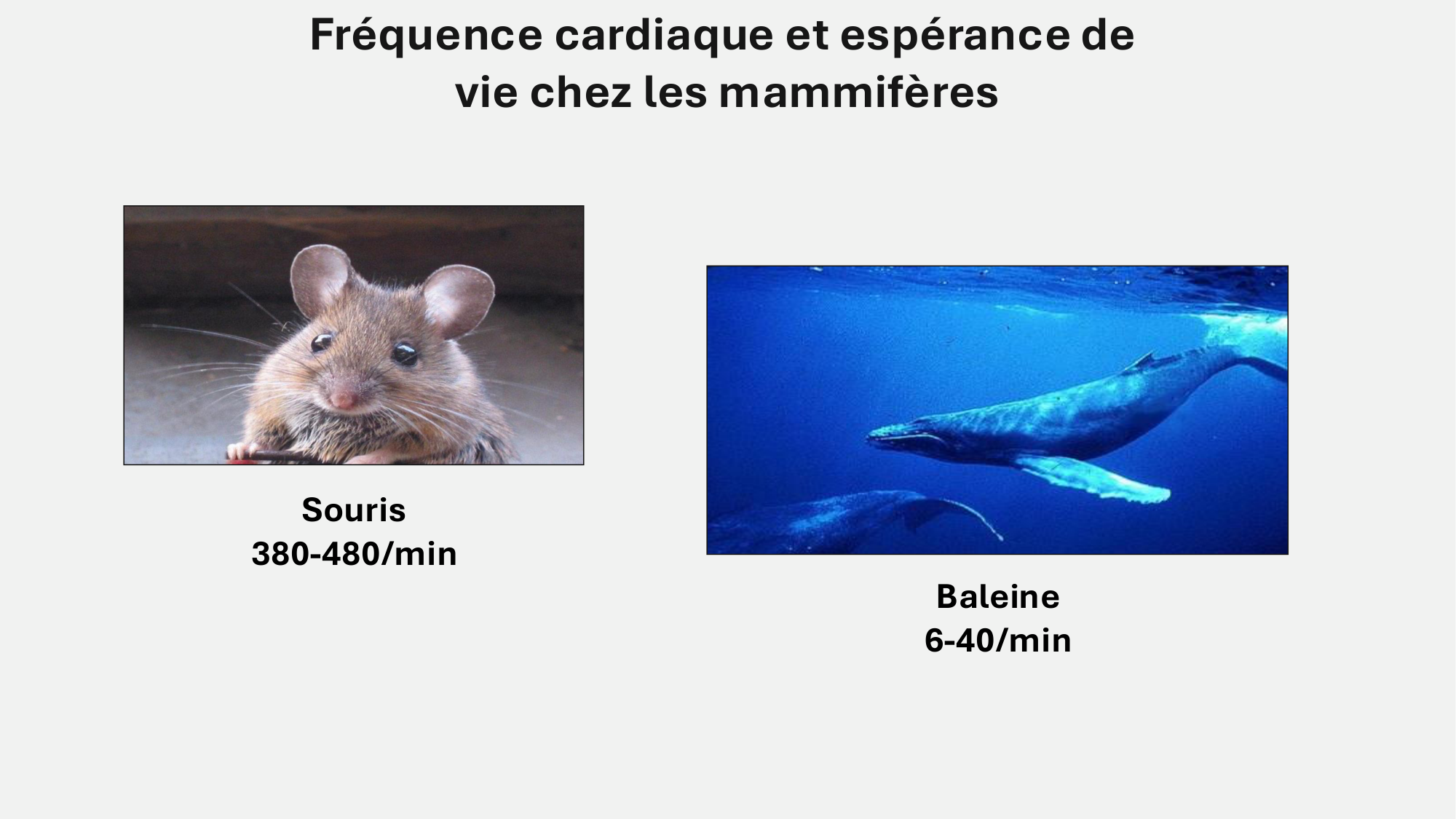 F-Mach-Cas de-liaison-Athero-7-5.3.2026 page 6