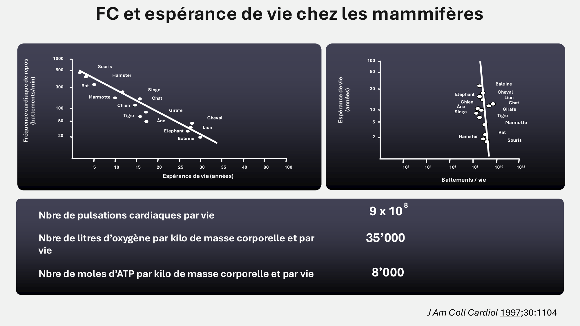 F-Mach-Cas de-liaison-Athero-7-5.3.2026 page 7