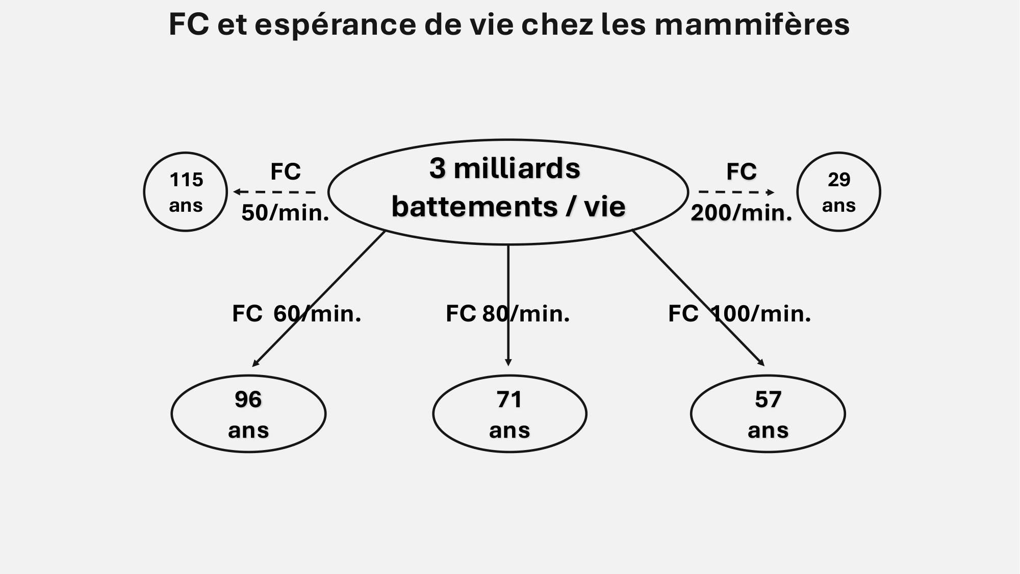 F-Mach-Cas de-liaison-Athero-7-5.3.2026 page 12