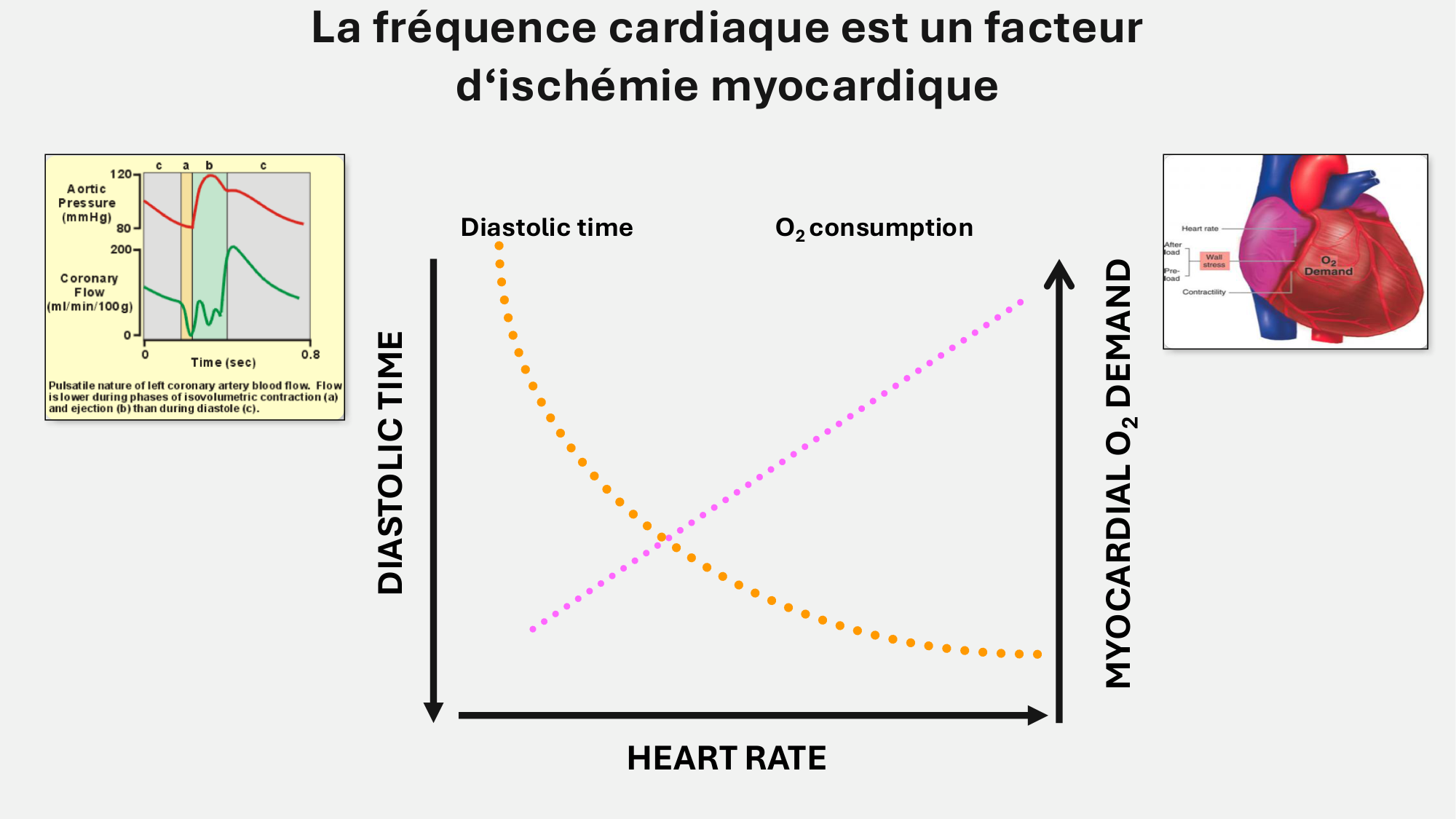 F-Mach-Cas de-liaison-Athero-7-5.3.2026 page 14