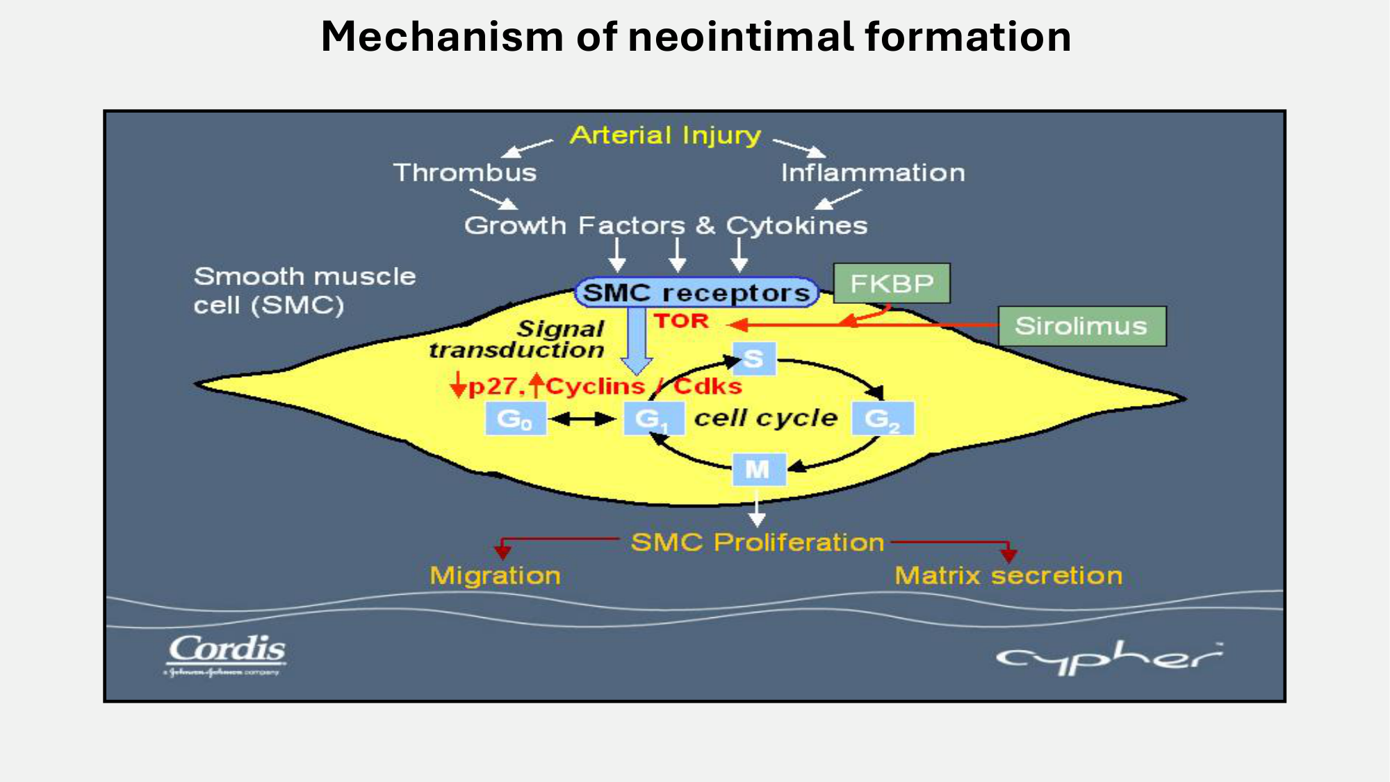 F-Mach-Cas de-liaison-Athero-7-5.3.2026 page 26