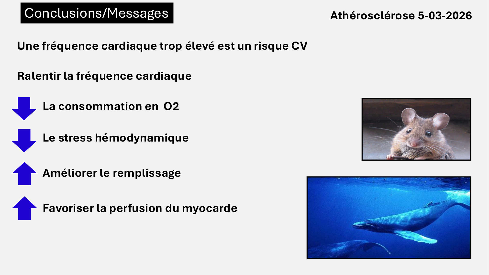F-Mach-Cas de-liaison-Athero-7-5.3.2026 page 32