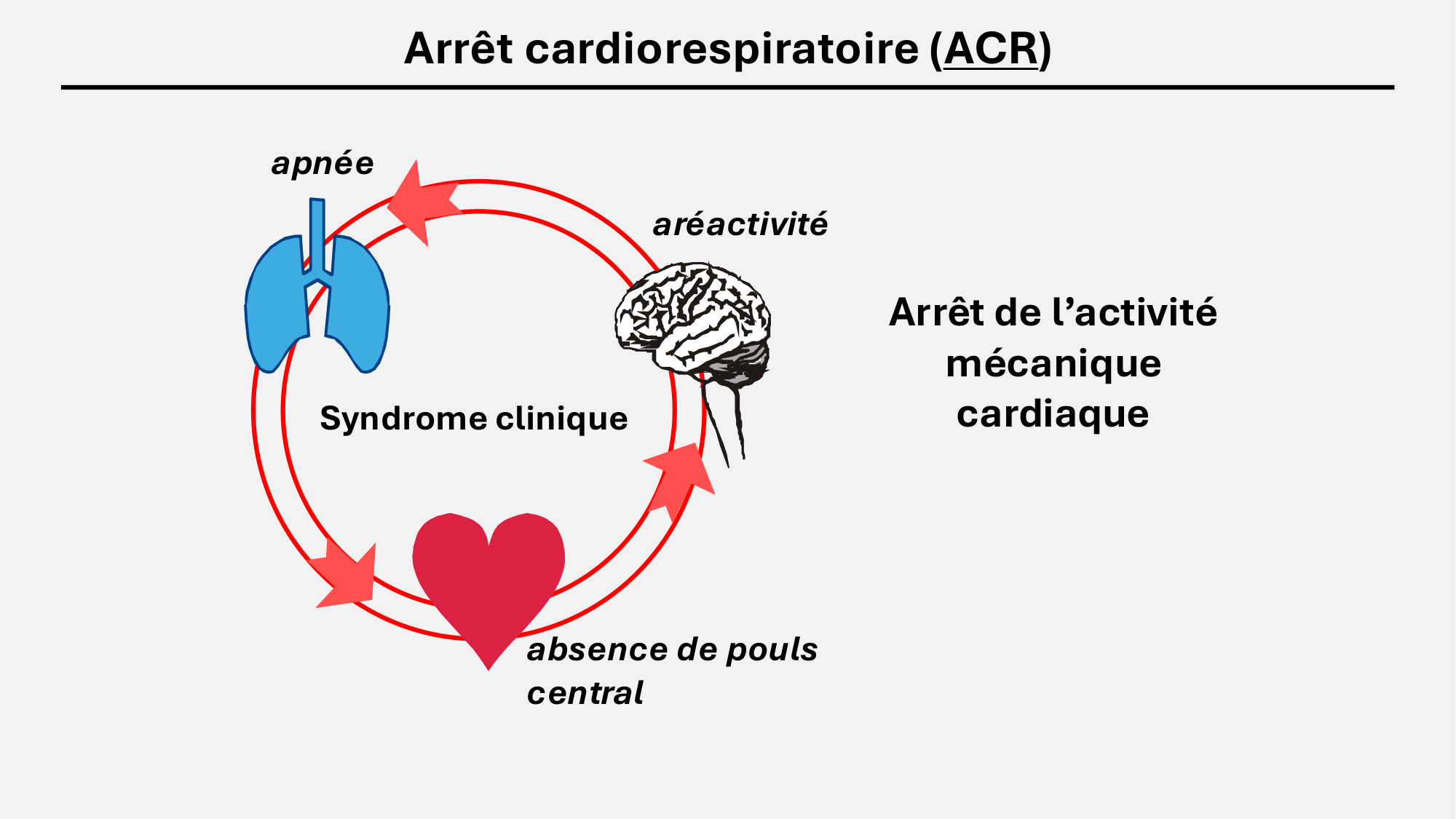 F-Mach-Cas de-liaison-Athero-8-26.3.2026 page 23