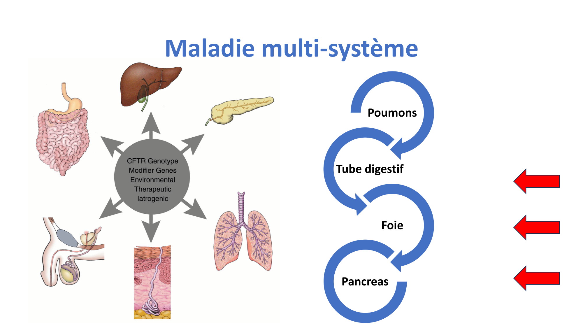 McLin-CF-2025 new page 5