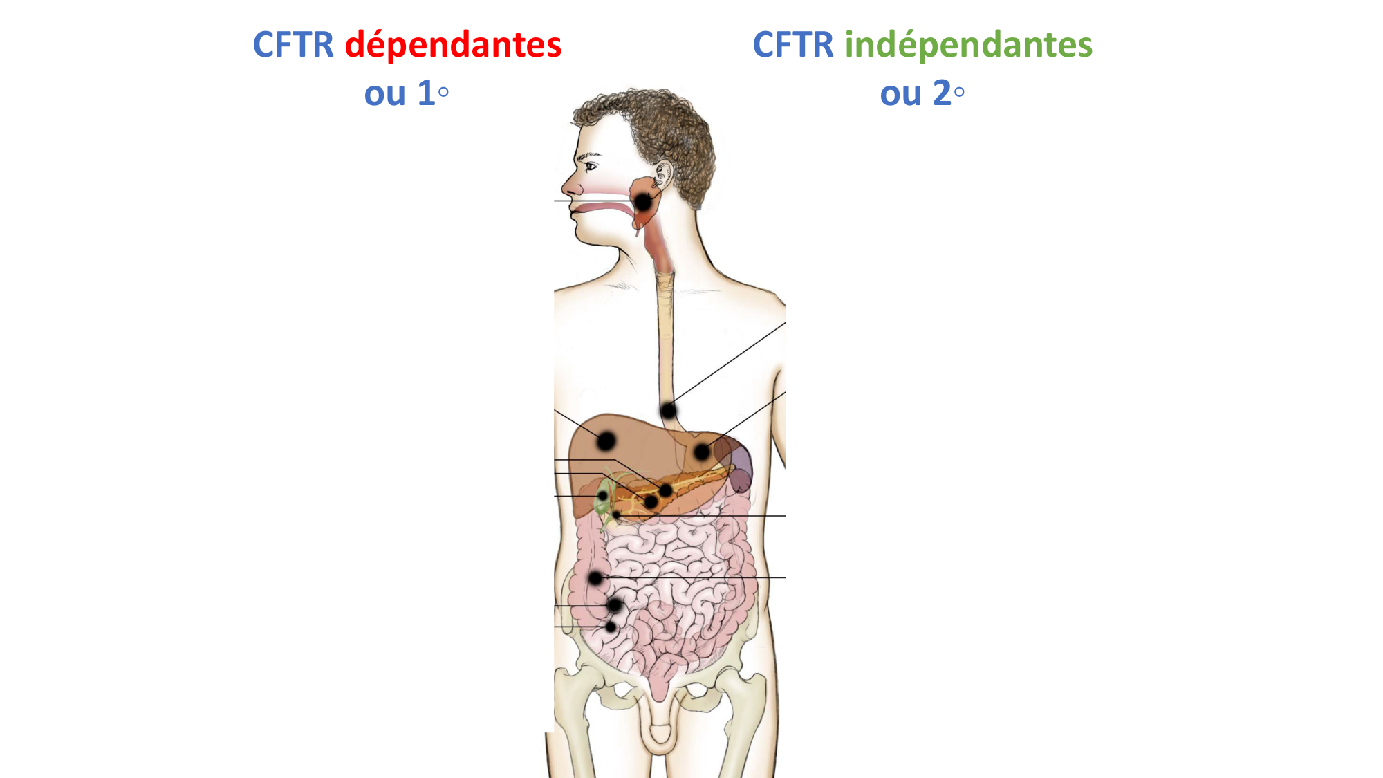 McLin-CF-2025 new page 6