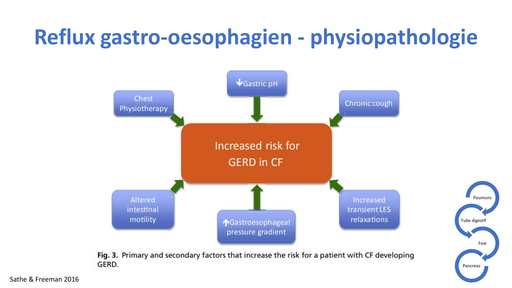McLin-CF-2025 new page 9