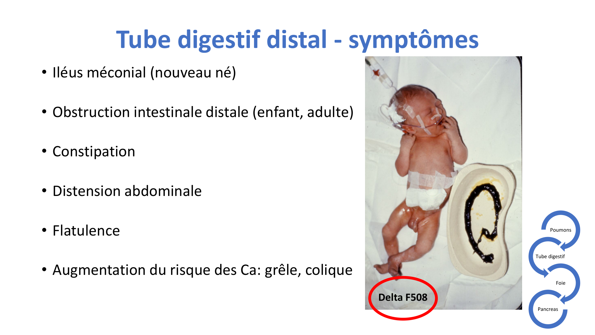 McLin-CF-2025 new page 12