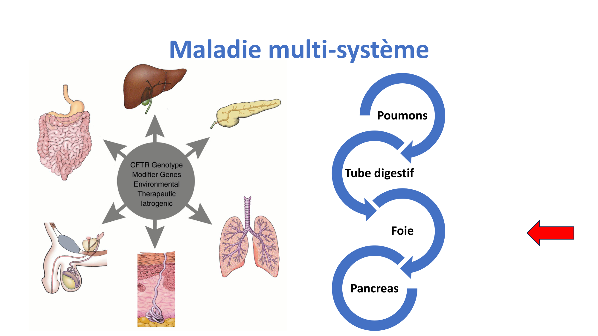 McLin-CF-2025 new page 13