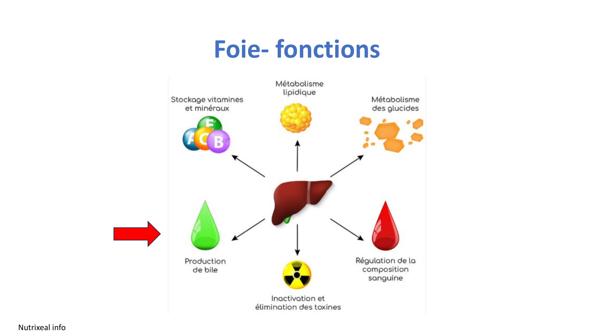 McLin-CF-2025 new page 14