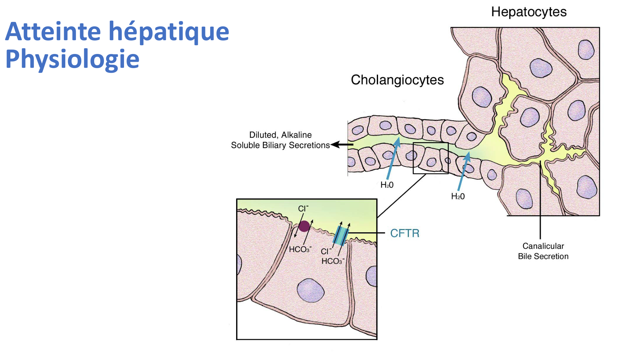 McLin-CF-2025 new page 15