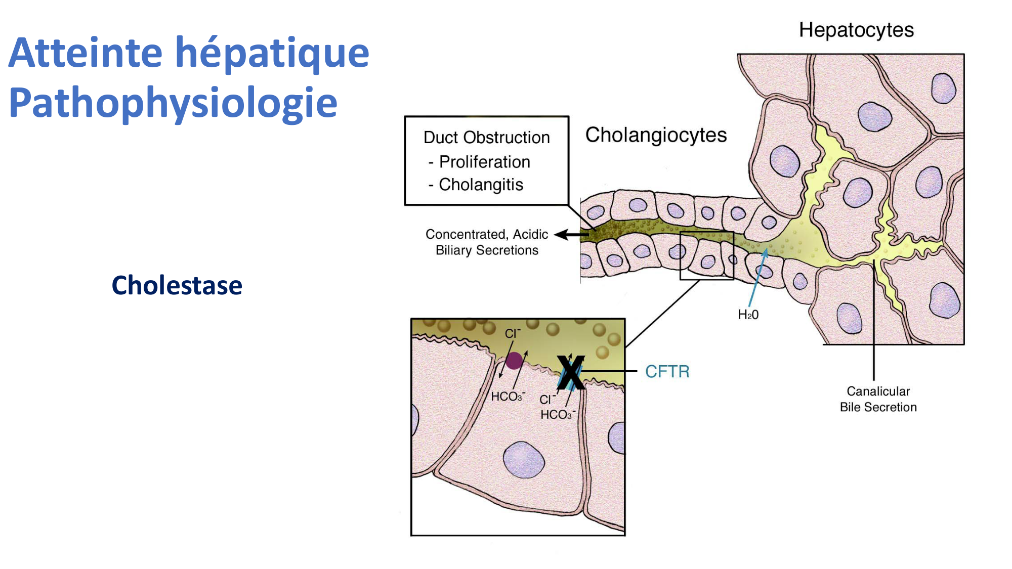 McLin-CF-2025 new page 16