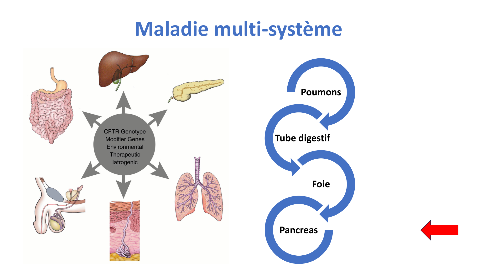 McLin-CF-2025 new page 21