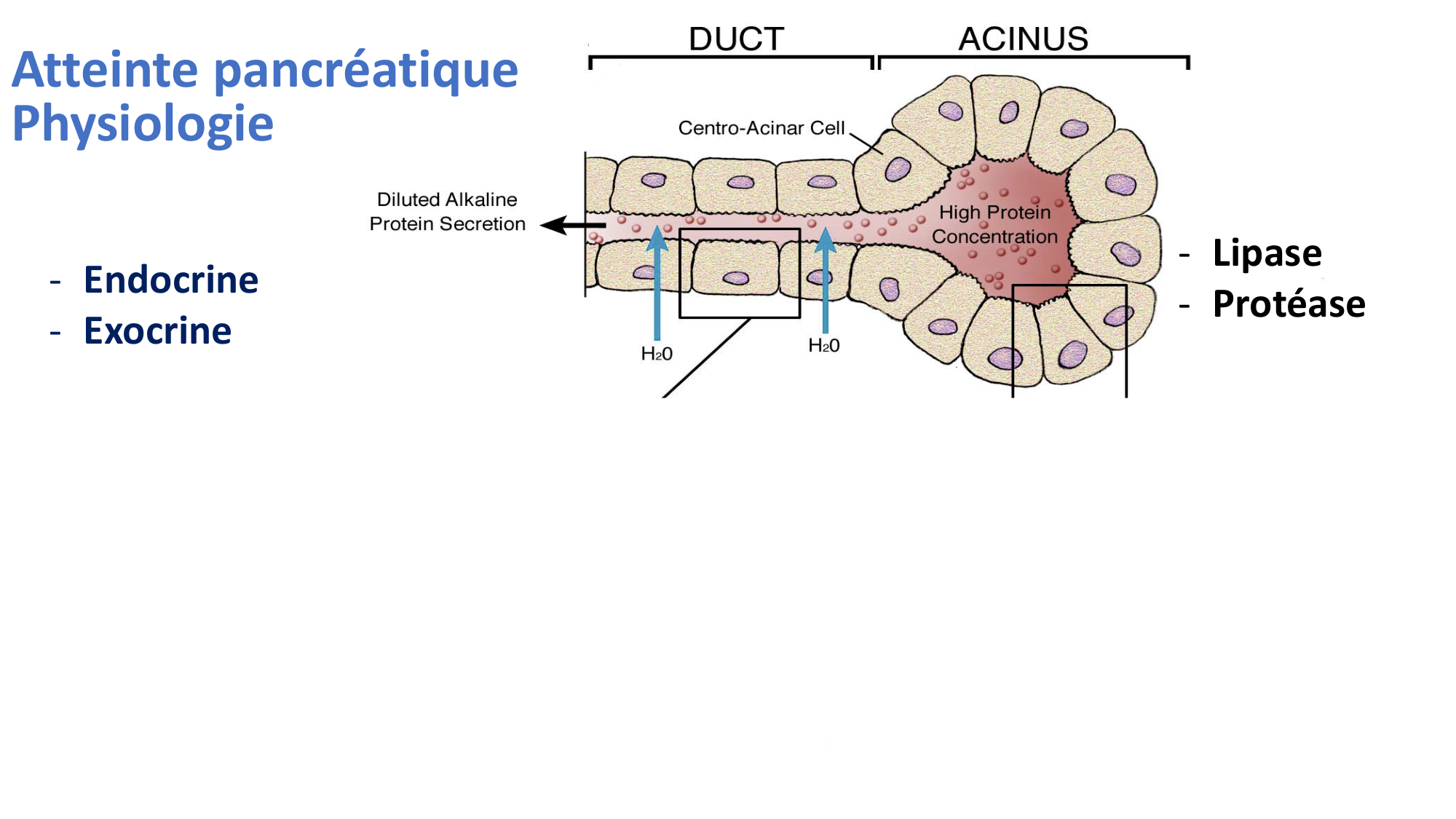 McLin-CF-2025 new page 22