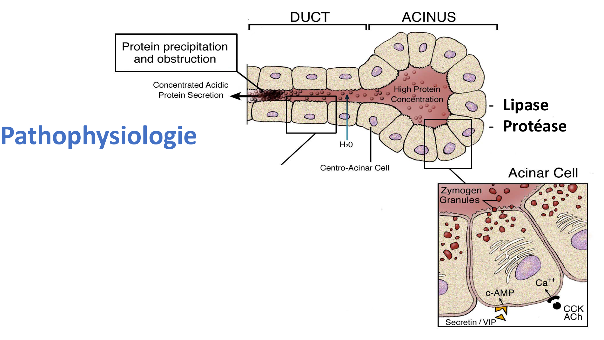 McLin-CF-2025 new page 23