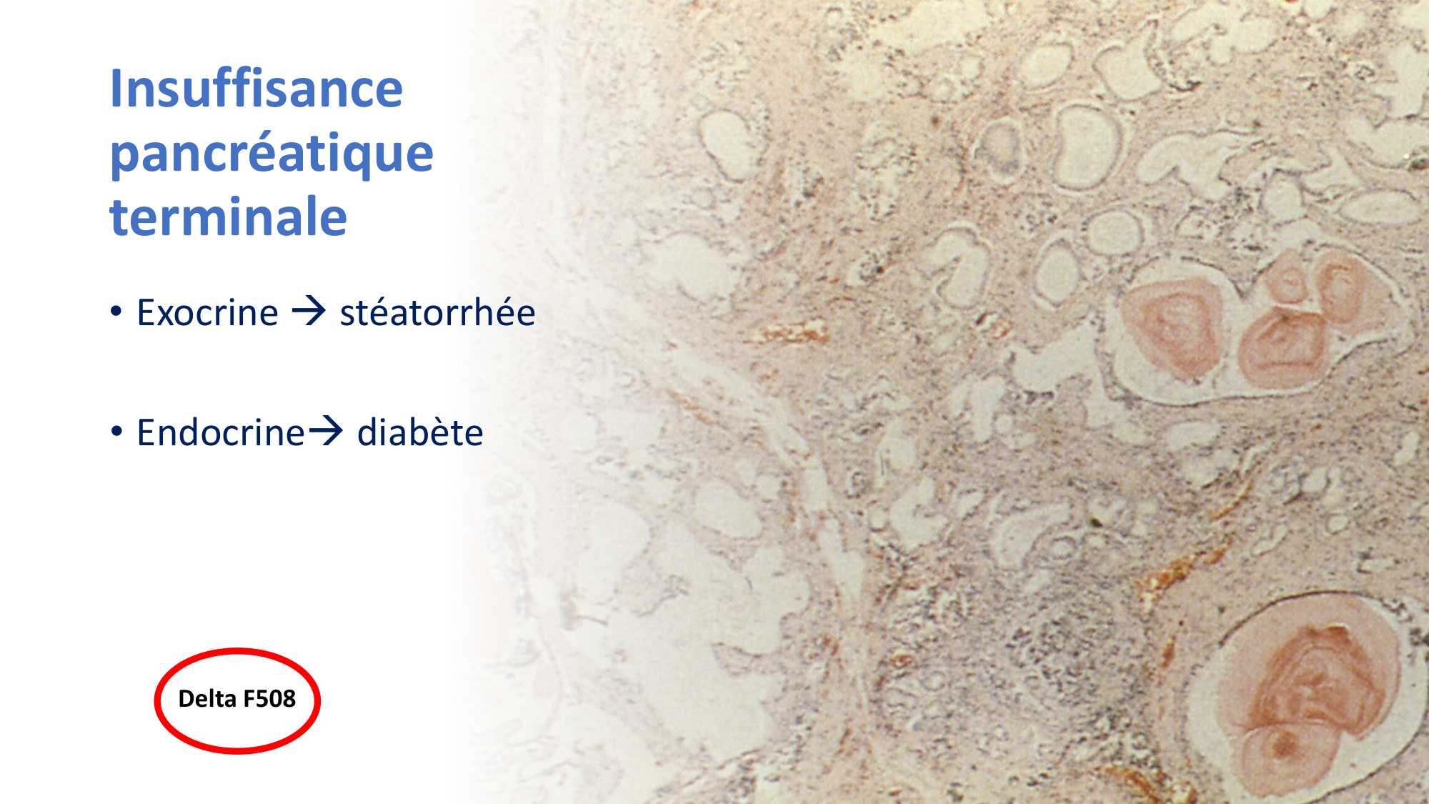 McLin-CF-2025 new page 24