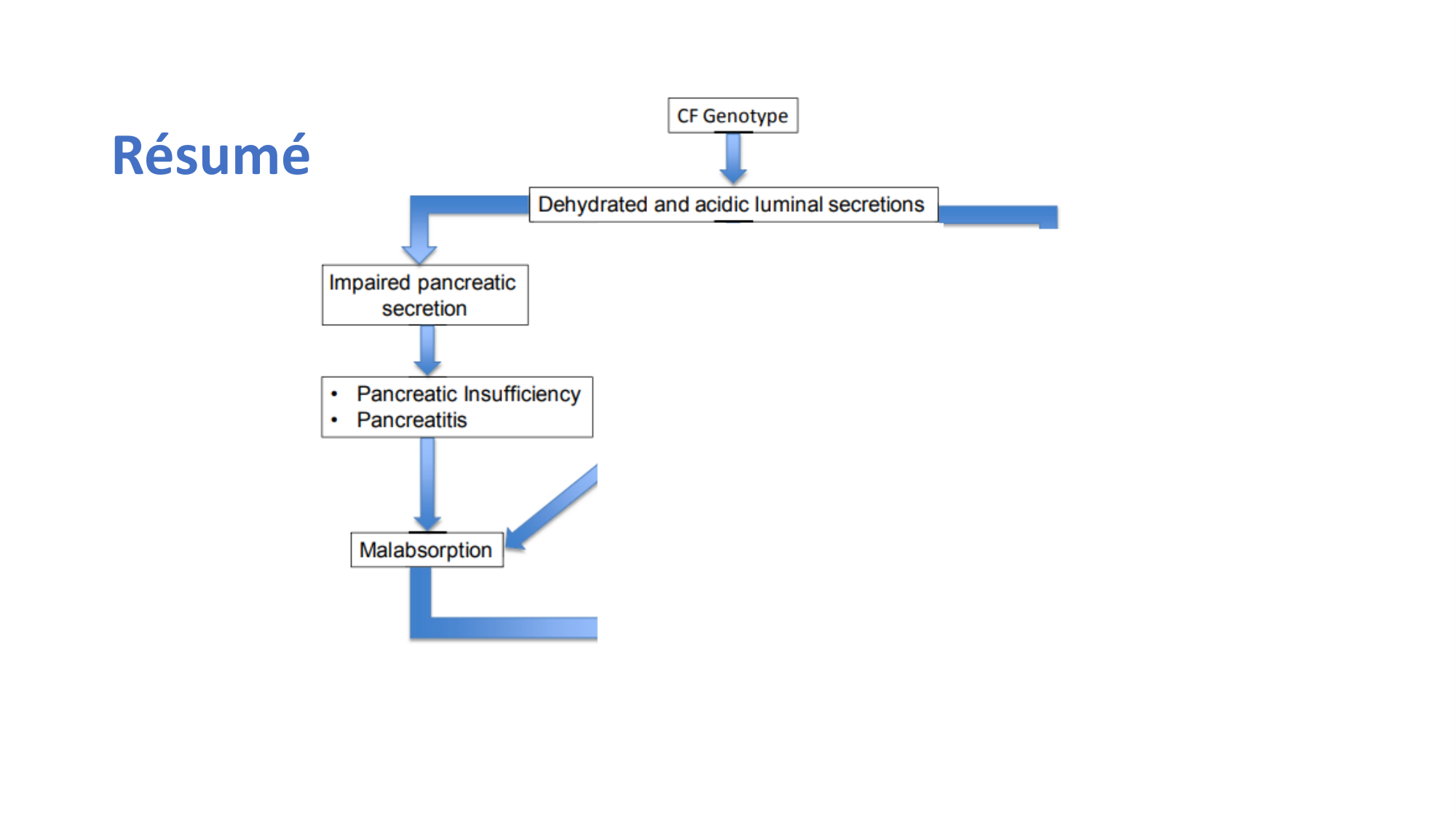 McLin-CF-2025 new page 26