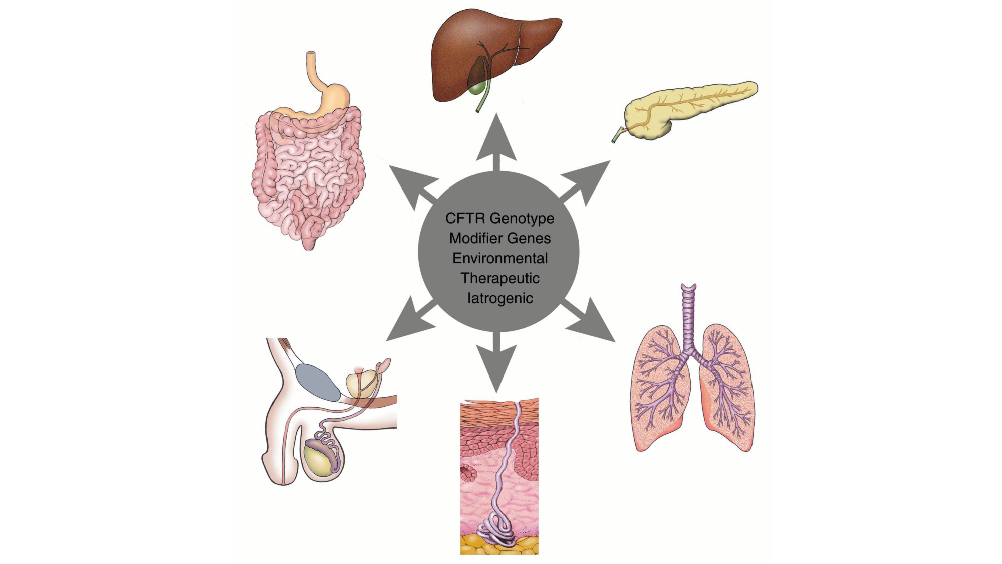 McLin-CF-2025 new page 33