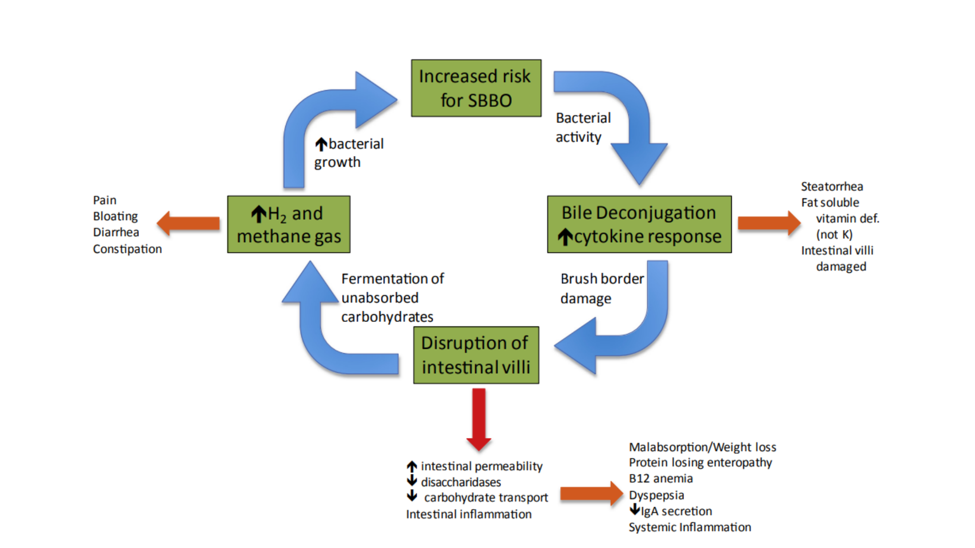 McLin-CF-2025 new page 34