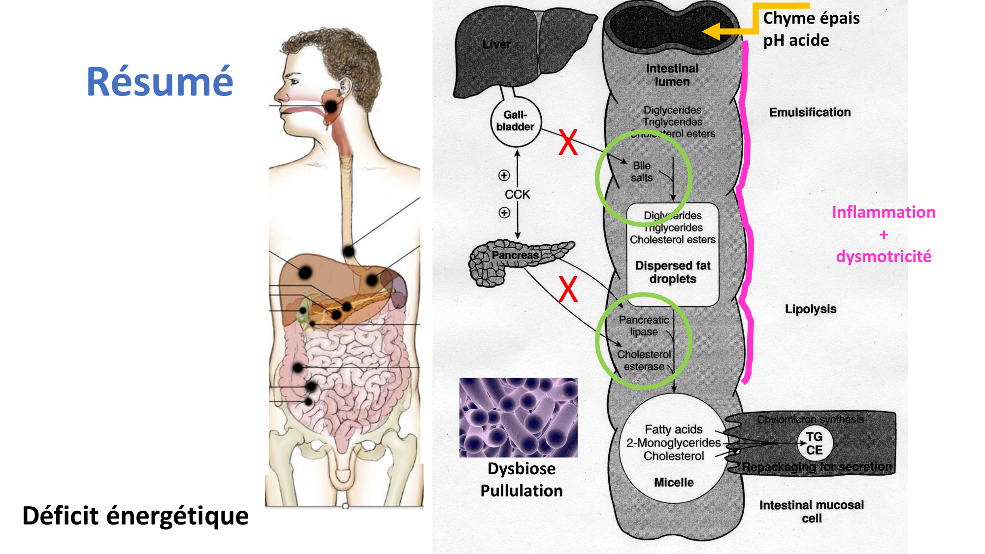 McLin-CF-2025 new page 35