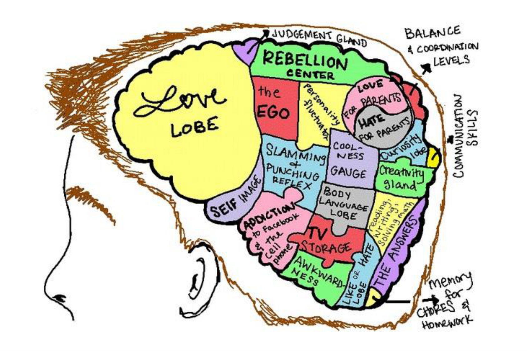 Muco-Mornand-cottingham 25 page 10