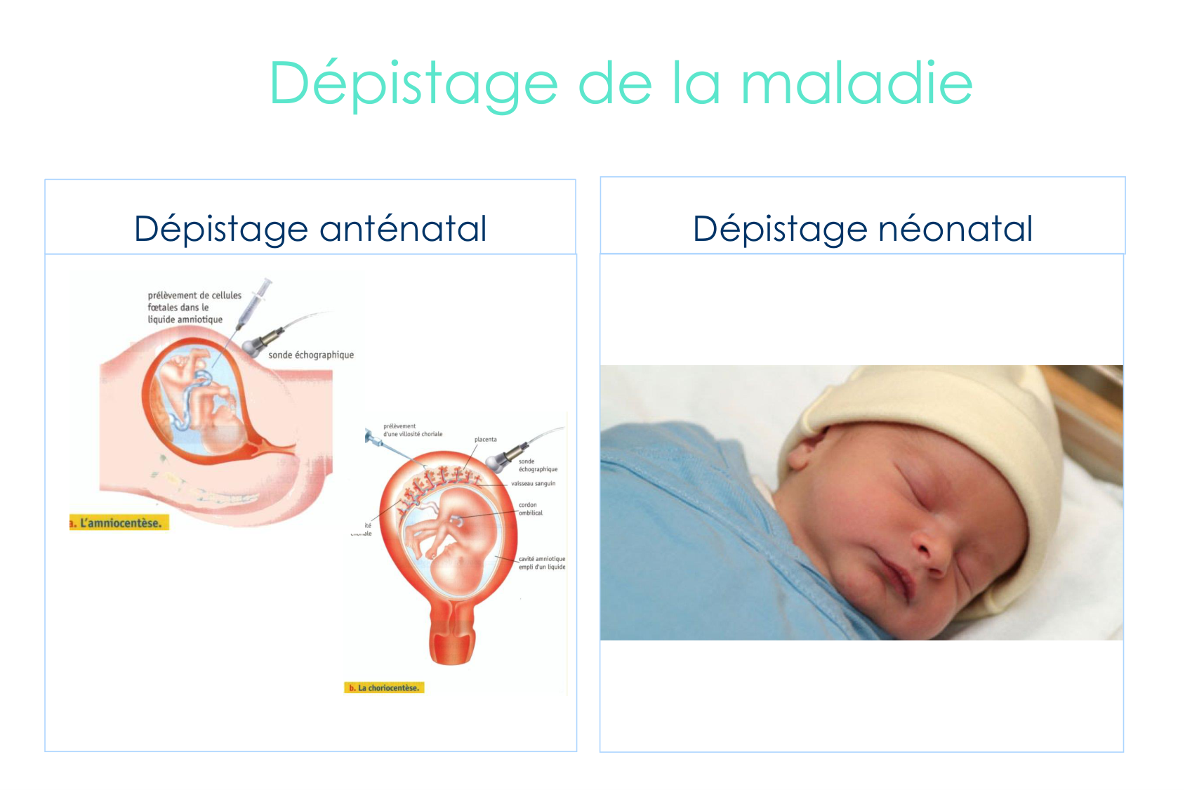 Muco-Mornand-cottingham 25 page 39