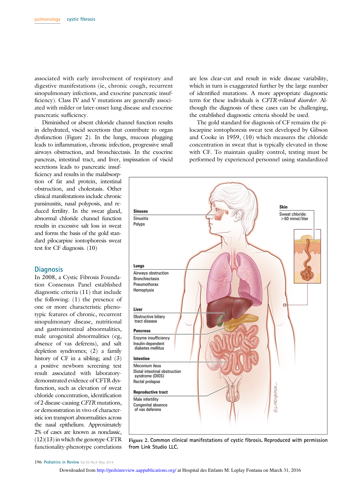 cystic fibrosis ped in review 2014 full -2 page 3