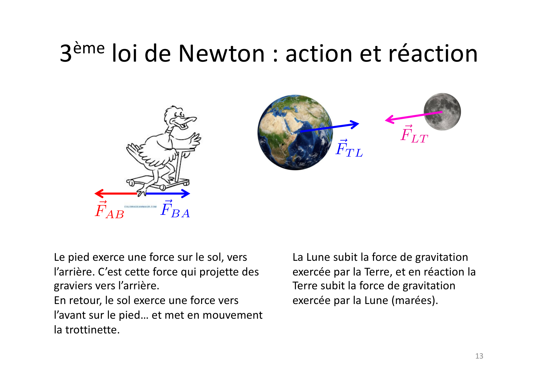 02 Dynamique page 13