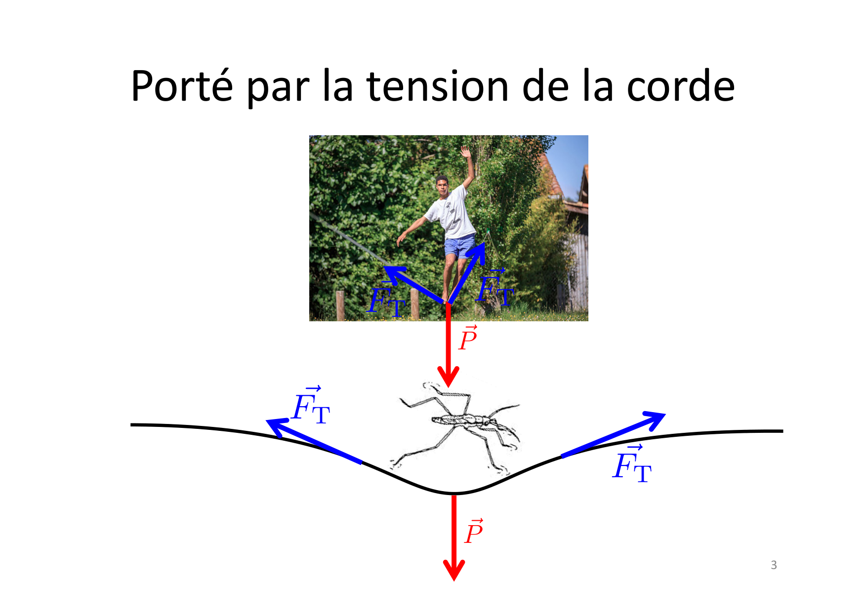 07 Tension de surface page 3