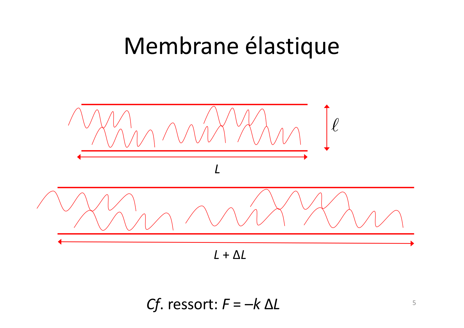 07 Tension de surface page 5