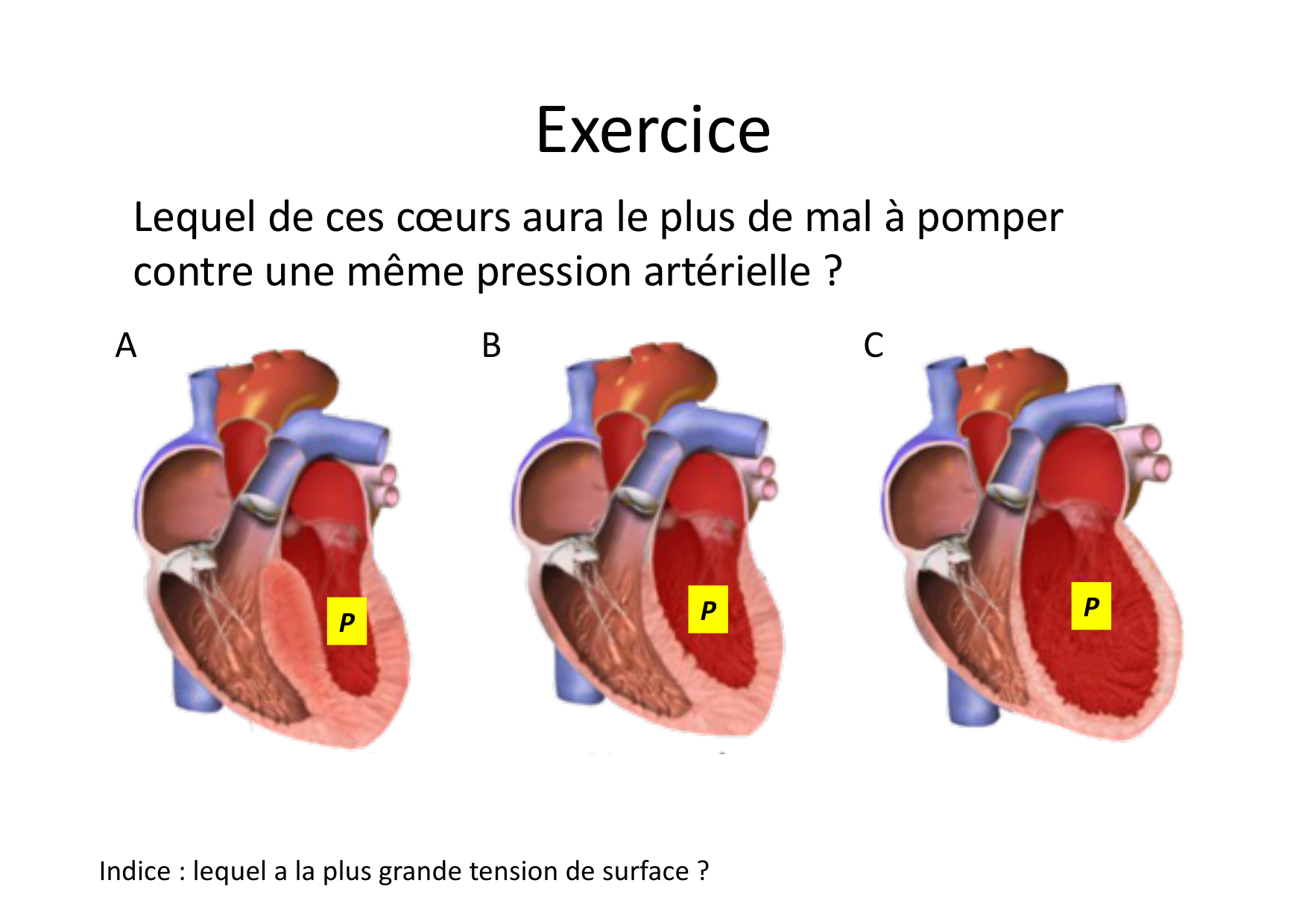 07 Tension de surface page 11