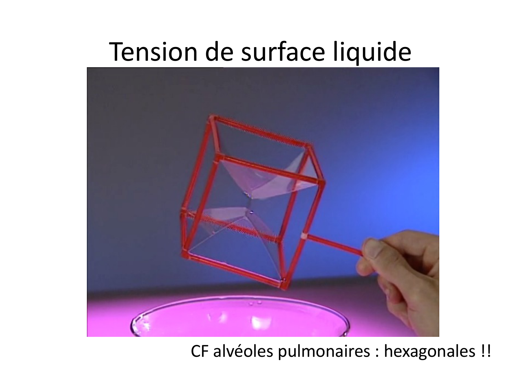 07 Tension de surface page 15