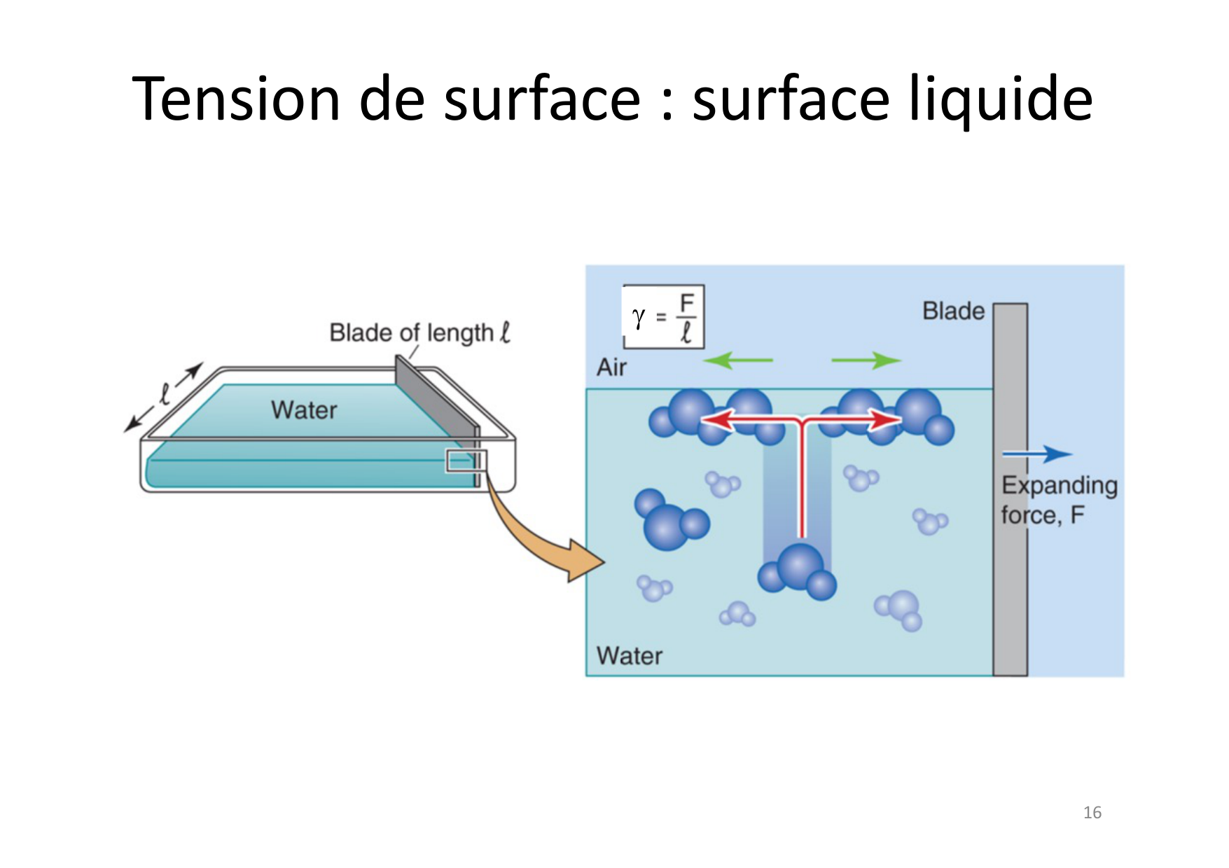 07 Tension de surface page 16