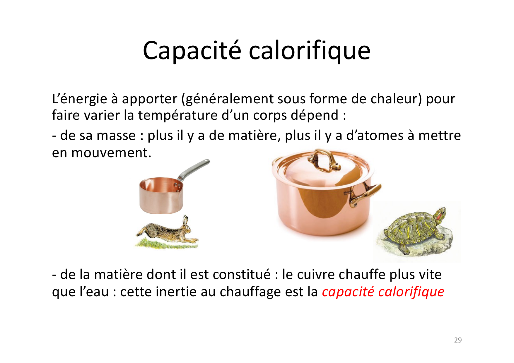 08 09 Thermo page 29