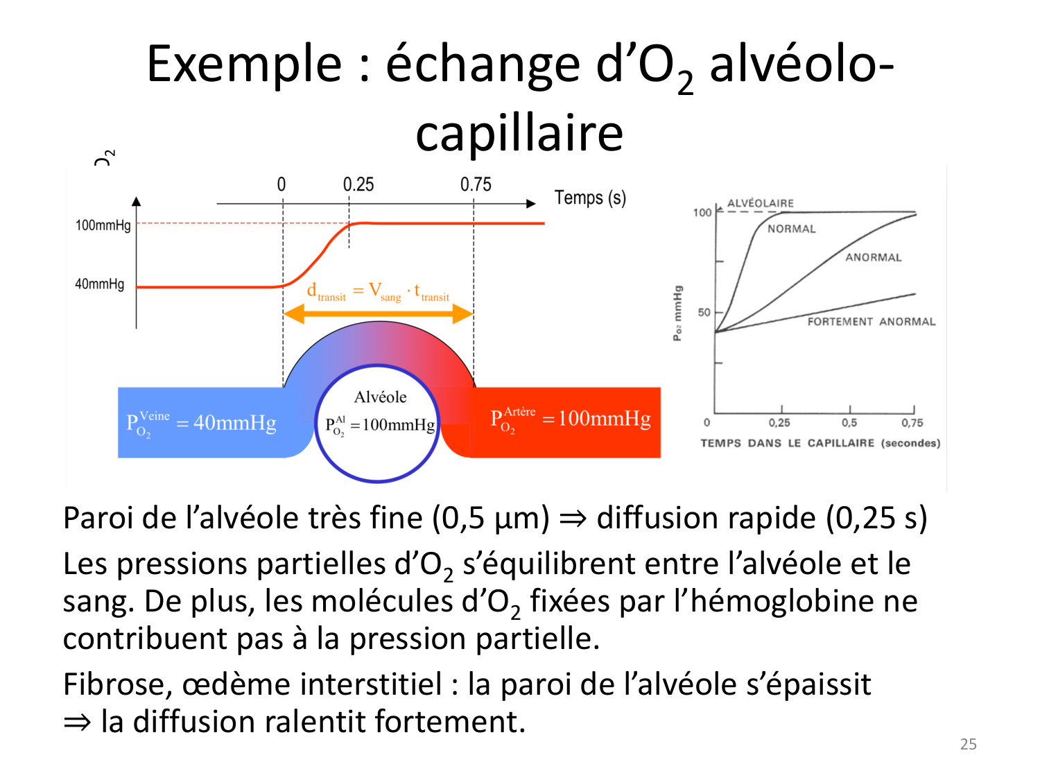 10 gaz dissous page 21