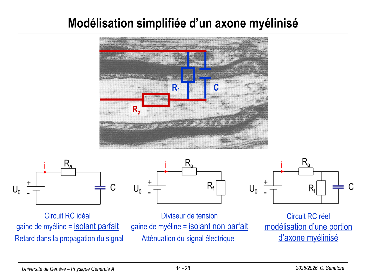 14 Électrocinétique II page 28
