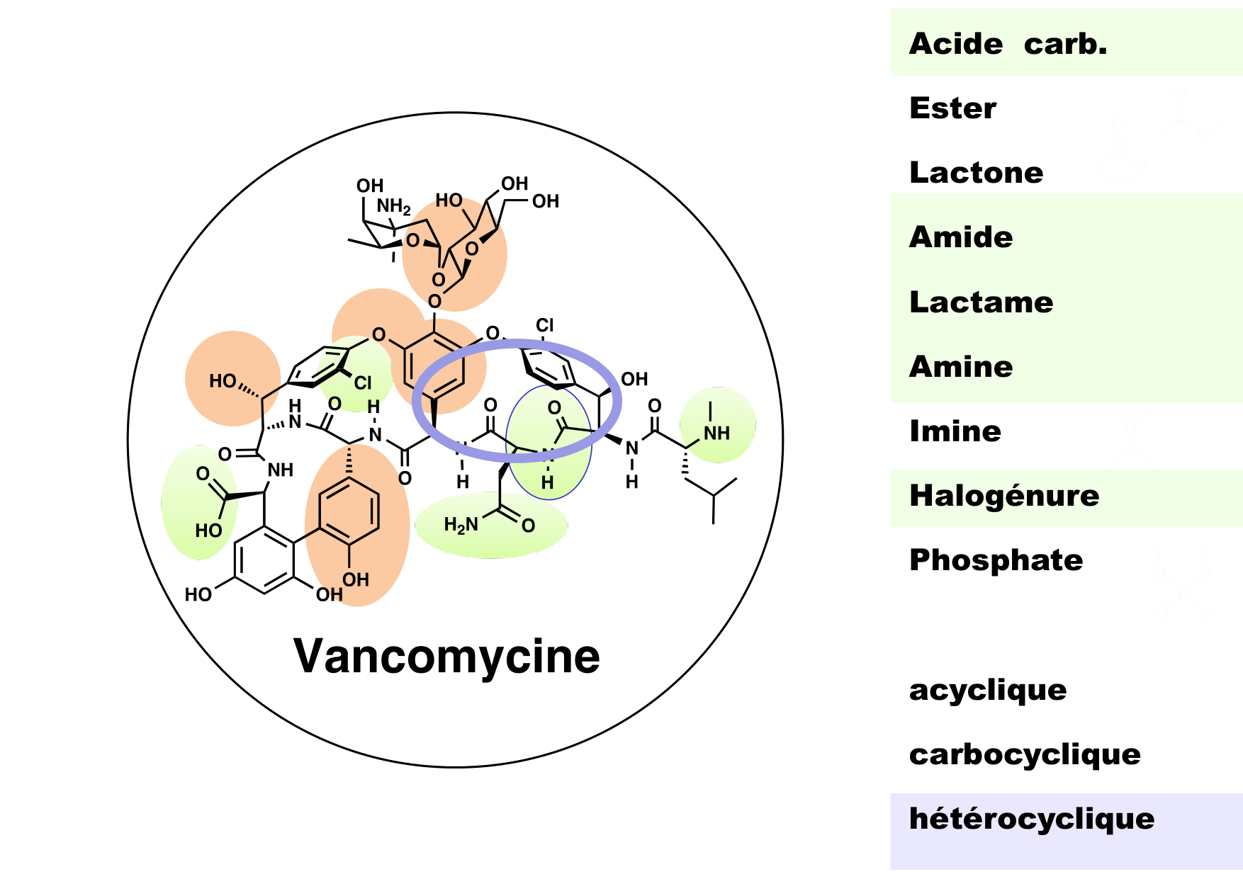 chior 26 chapitres 1-3 e-notes page 25
