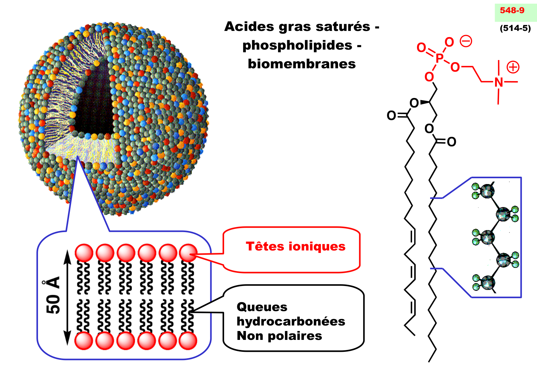 chior 26 chapitres 1-3 e-notes page 77