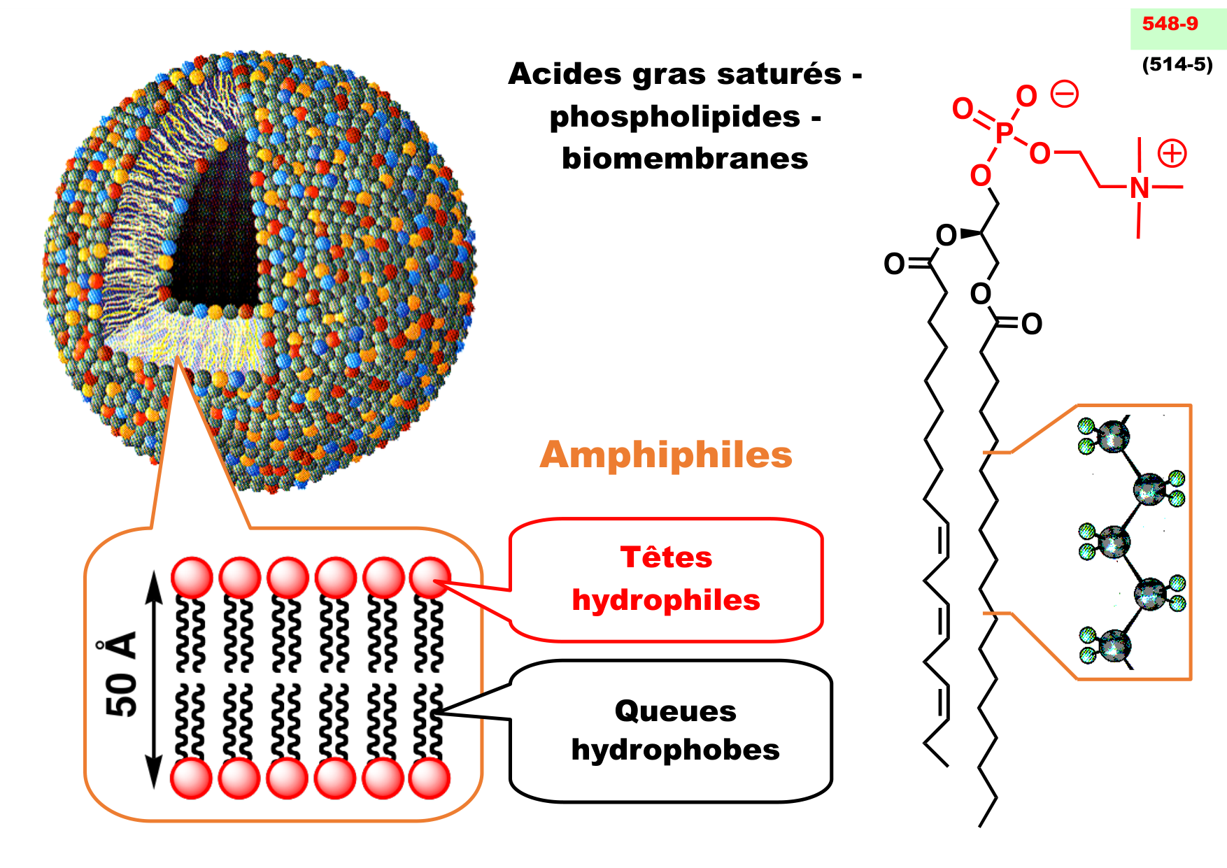 chior 26 chapitres 1-3 e-notes page 109
