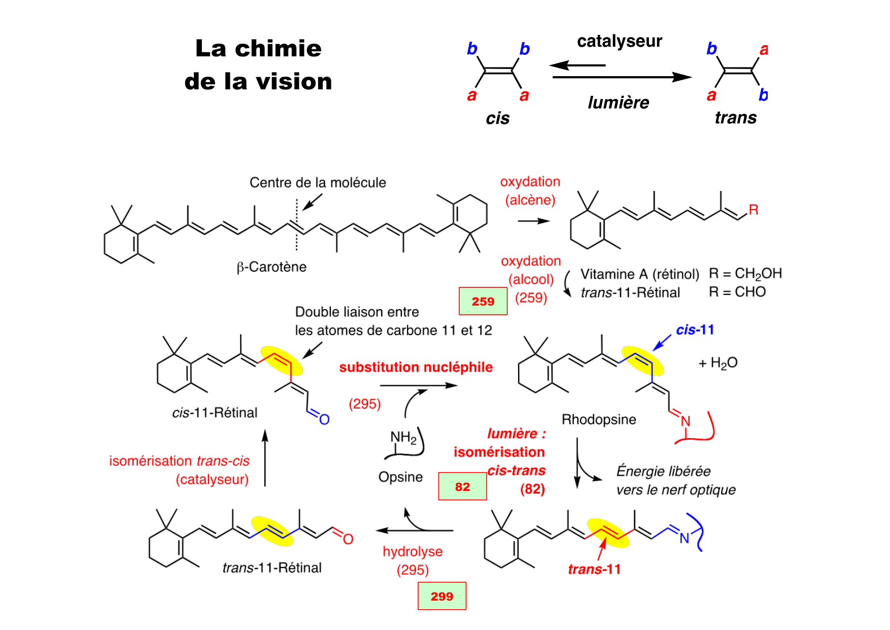 chior 26 chapitres 1-3 e-notes page 131