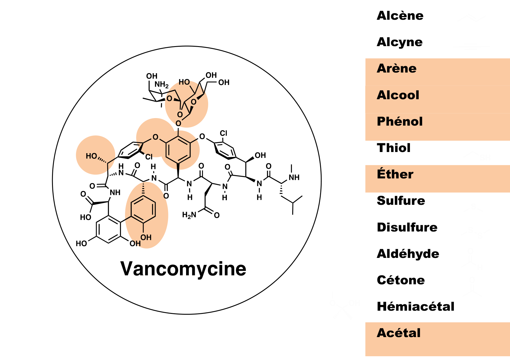 chior 26 chapitres 1-3 page 12