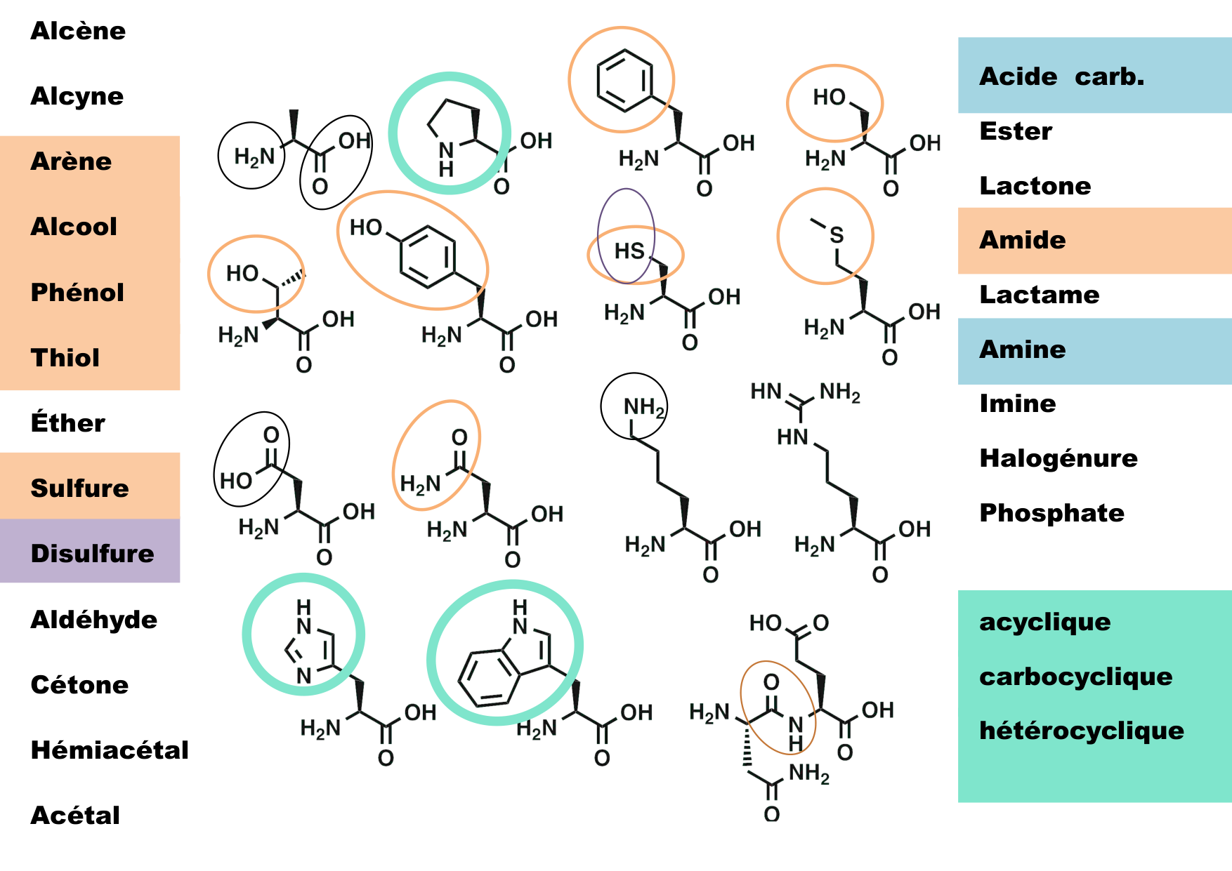chior 26 chapitres 1-3 page 16