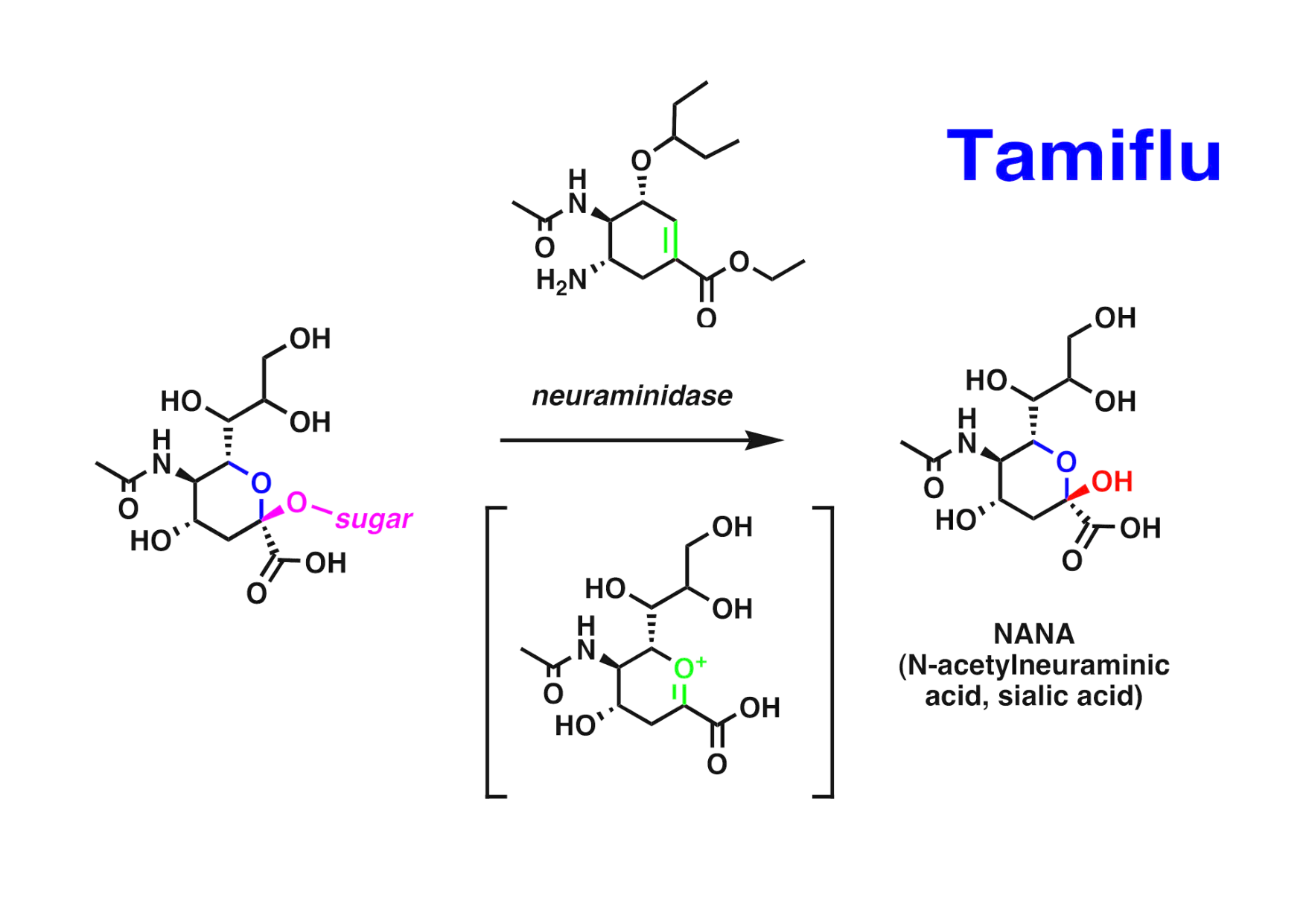 chior 26 chapitres 1-3 page 19