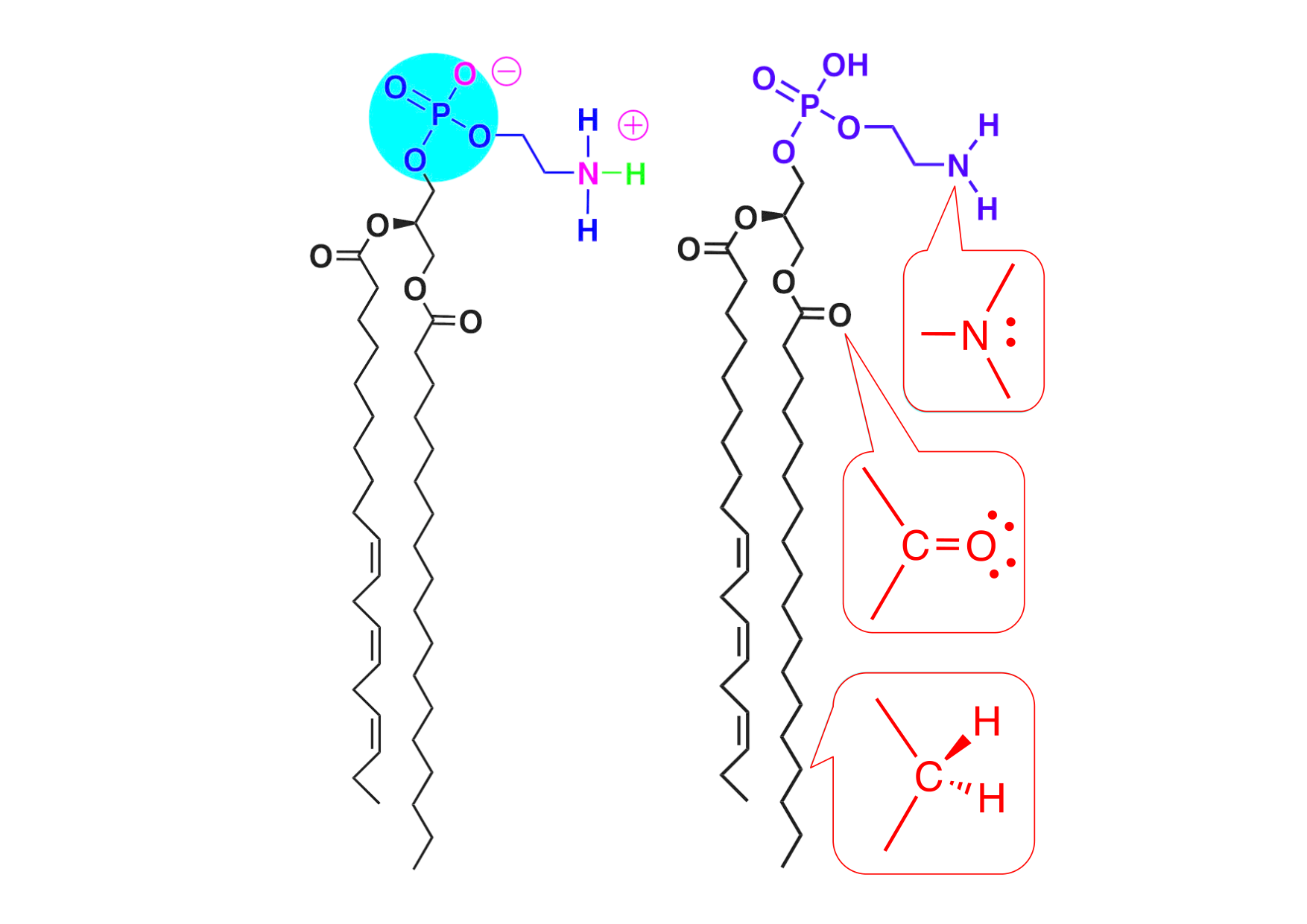 chior 26 chapitres 1-3 page 26