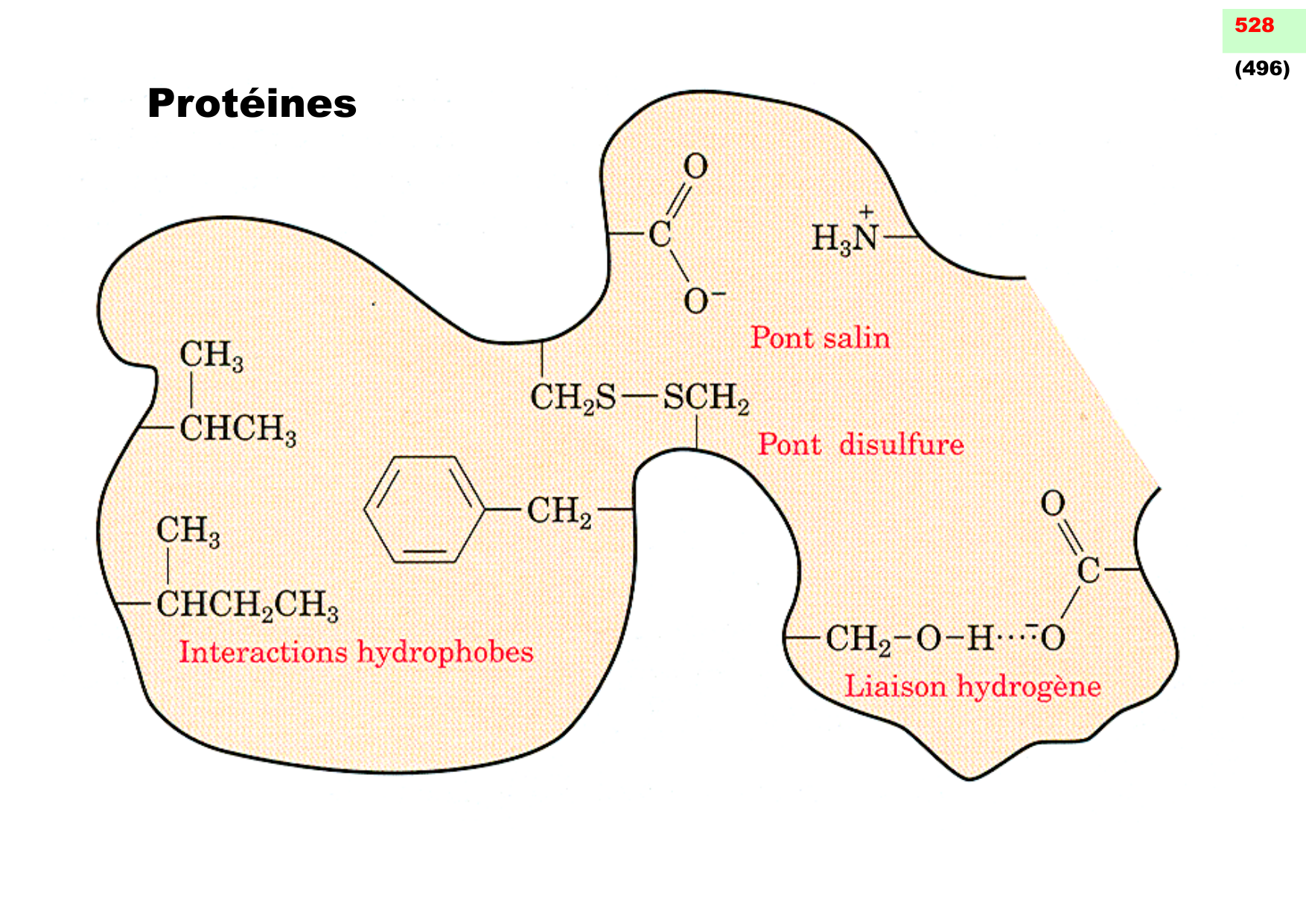 chior 26 chapitres 1-3 page 56